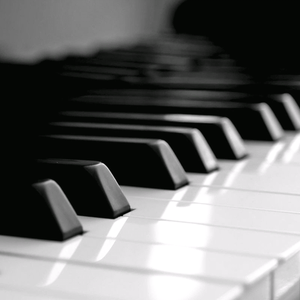 360人体艺术少女日B
